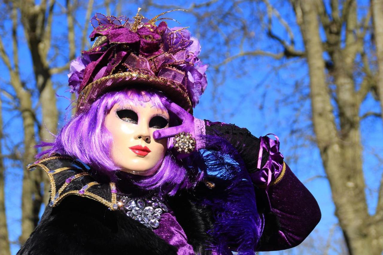 L'Escale Du Chateau A 500M Du Lac Rue Carnot アヌシー エクステリア 写真